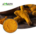 AMULYN Health Care Organic Turmeric Extract